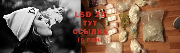 стафф Дедовск
