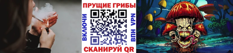 хочу наркоту  Стародуб  Галлюциногенные грибы прущие грибы 